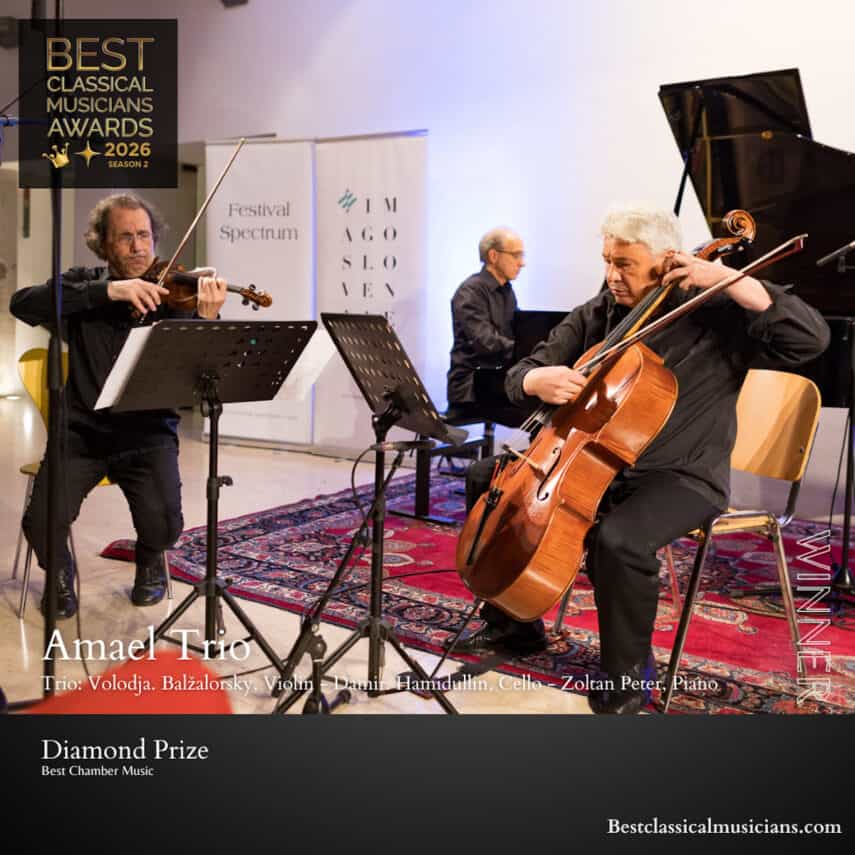 The Amael Trio received the Diamond Award at Best Classical Musicians Awards